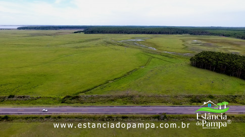 INICIO GADO TOP.00_01_42_24.Quadro025_1c60ce5dea61c75f1cab94058fc425ffc9e29fce.jpg